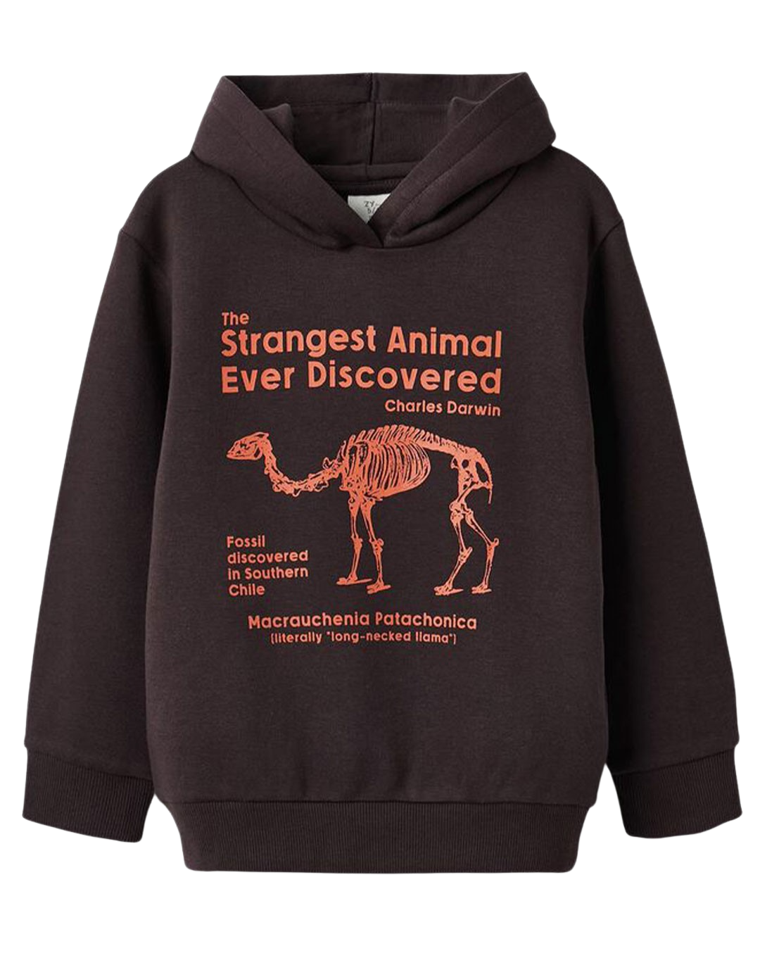 Φούτερ για αγόρι με κουκούλα, γκρι, Slim Fit, 40% βαμβάκι, 60% πολυεστέρας.