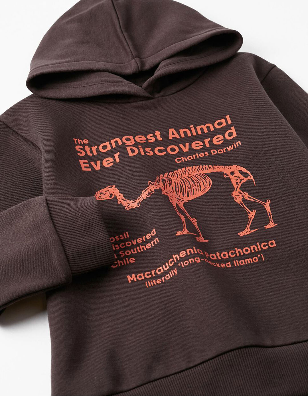 Φούτερ για αγόρι με κουκούλα, γκρι, Slim Fit, 40% βαμβάκι, 60% πολυεστέρας.