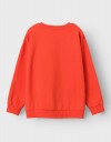 Φούτερ μπλούζα αγόρι NAME IT Φούτερ μπλούζα αγόρι πορτοκαλί