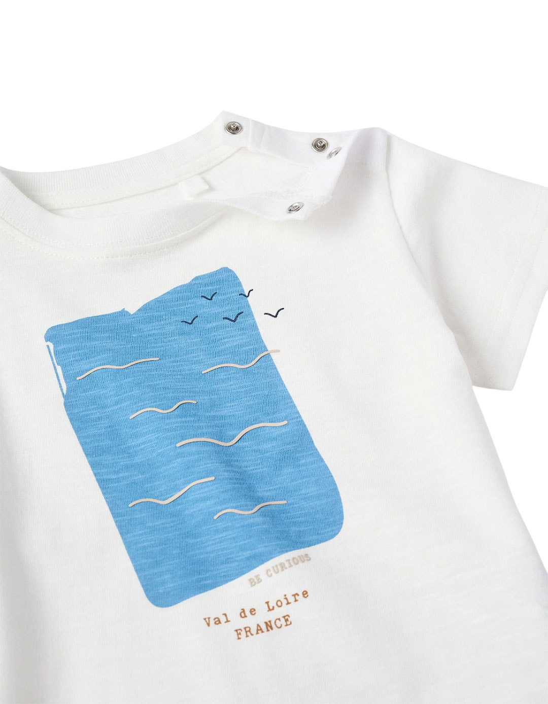 Zippy Βρεφικό Κοντομάνικο Μπλουζάκι με Σχέδιο – 100% Βαμβάκι (9-36 Μηνών) λευκό,Slim Fit.