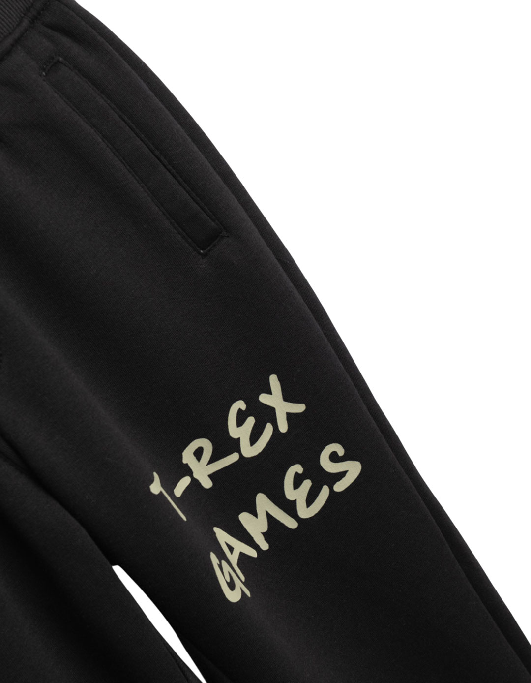 For Funky Kids Φόρμα Φούτερ T-Rex Games Ελεφαντί Μαύρο Αγόρι 6-16 Ετών.Regular Fit..Collection Winter 2026.