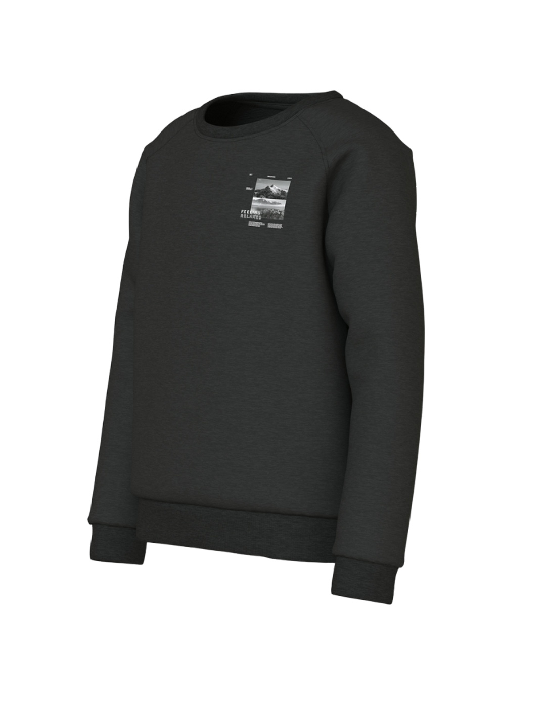 Παιδική μπλούζα φούτερ χωρίς χνούδι για αγόρι μαύρη, Regular Fit, 60% βαμβάκι-40% πολυεστέρας.