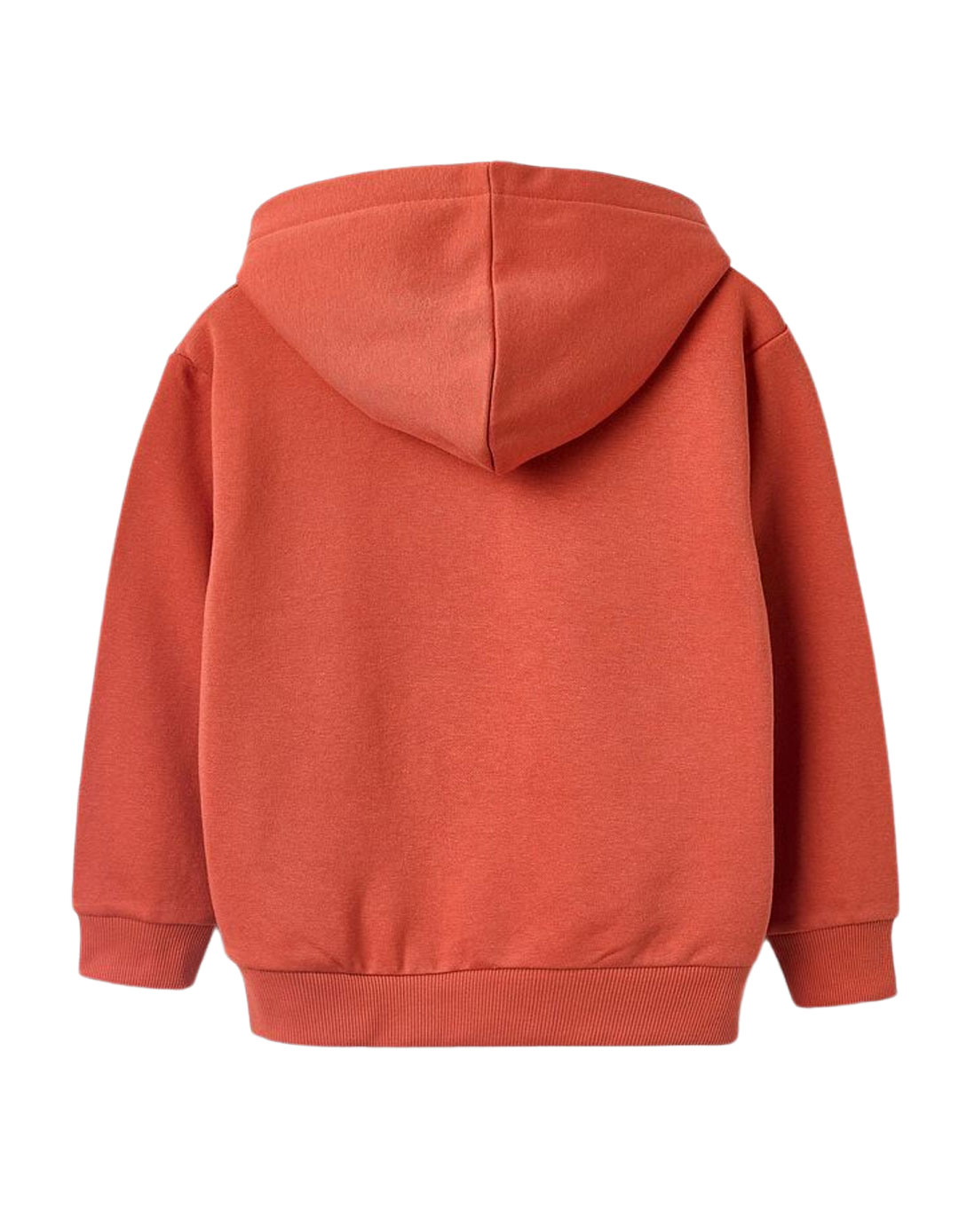 Παιδικό φούτερ με κουκούλα, για αγόρια, πορτοκαλί, Slim Fit, 40% βαμβάκι-60% πολυεστέρας. Παιδικό φούτερ με κουκούλα, για αγόρια, πορτοκαλί, Slim Fit, 40% βαμβάκι-60% πολυεστέρας.