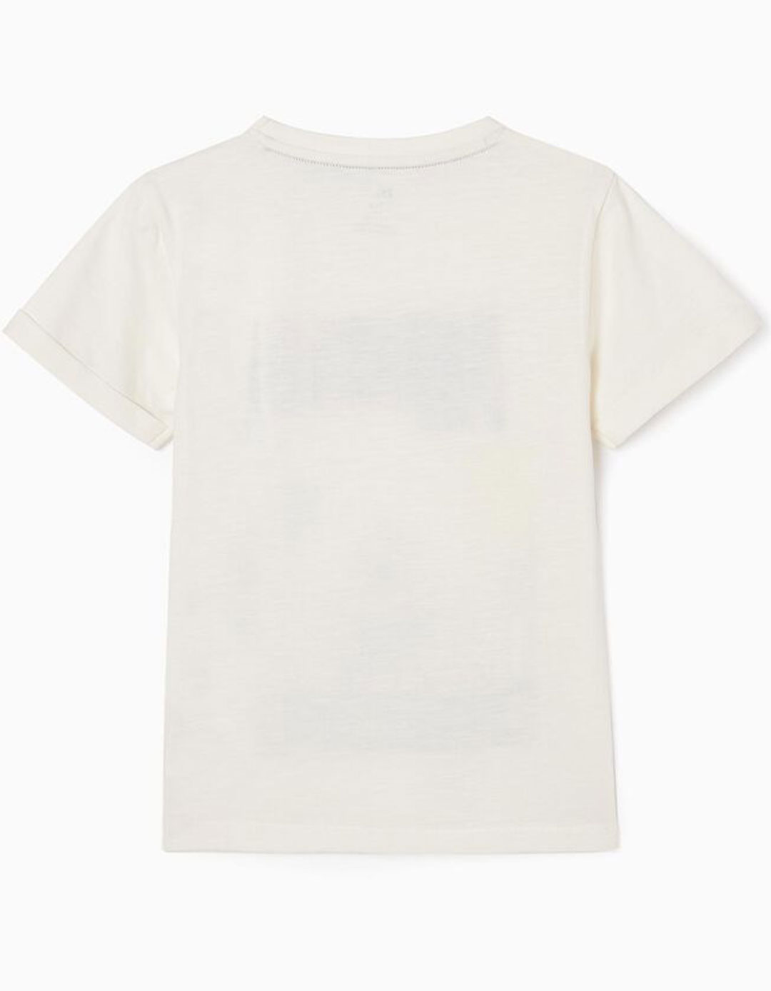 Λευκό κοντομάνικο μπλουζάκι για αγόρια. Μπροστινή στάμπα με θέμα την Ινδία, Slim Fit, 100% βαμβάκι.