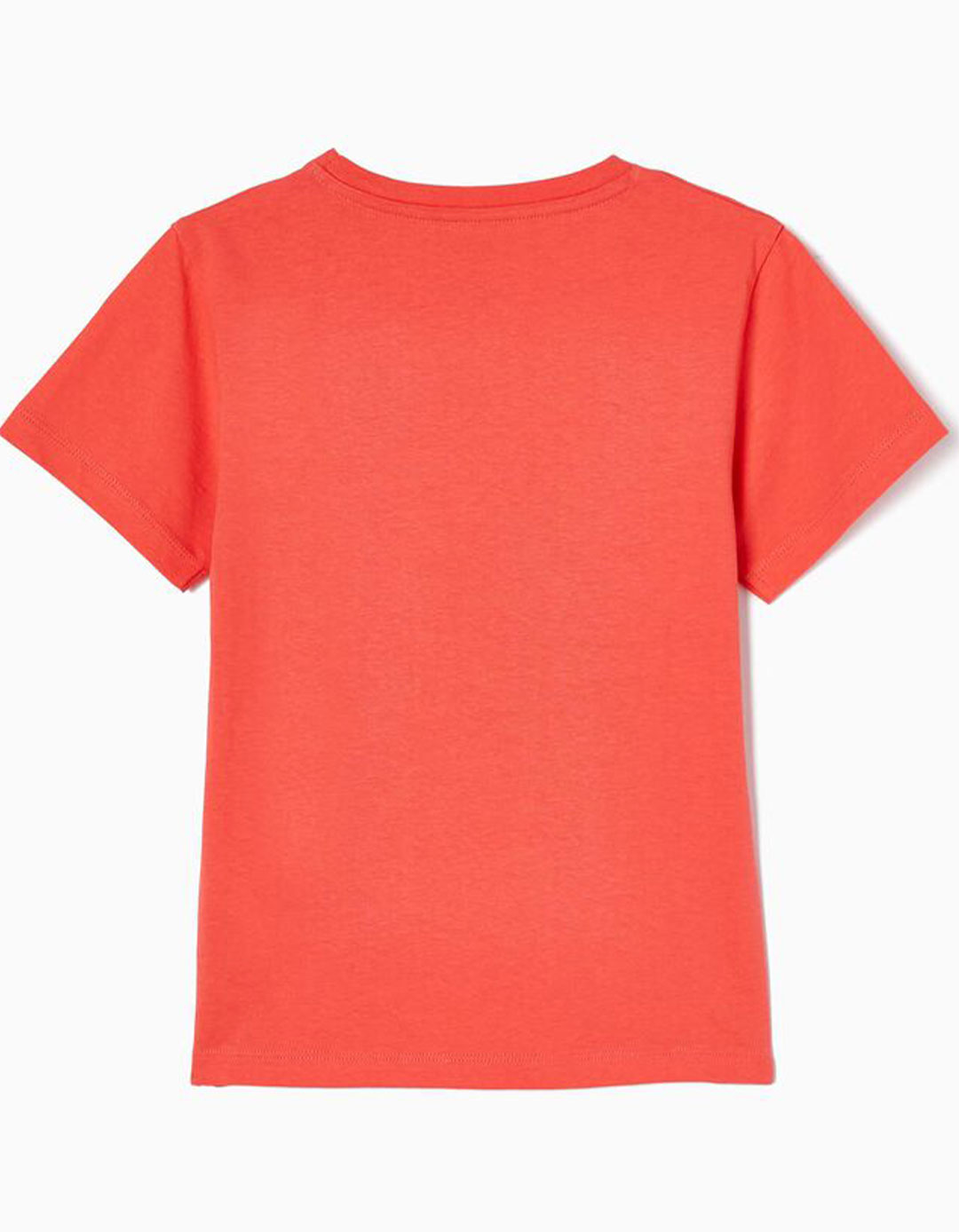 Κοντομάνικο μπλουζάκι για αγόρια Πορτοκαλί, Slim Fit, 100% βαμβάκι. Κοντομάνικο μπλουζάκι για αγόρια Πορτοκαλί, Slim Fit, 100% βαμβάκι.