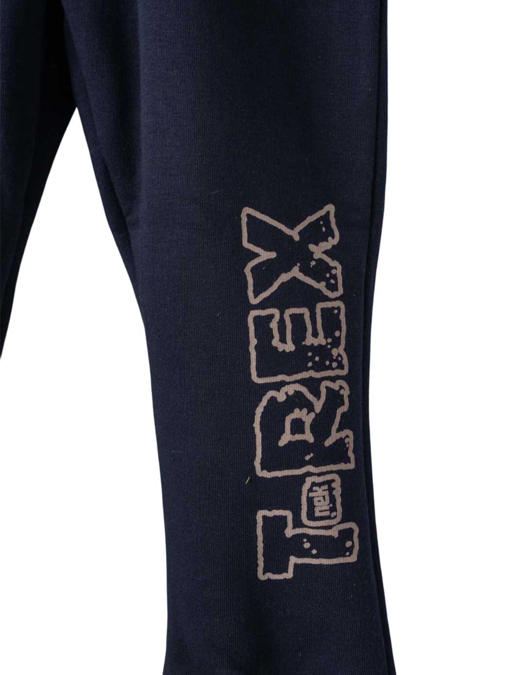 Παιδική φόρμα αγοριού NEK με δεινόσαυρους