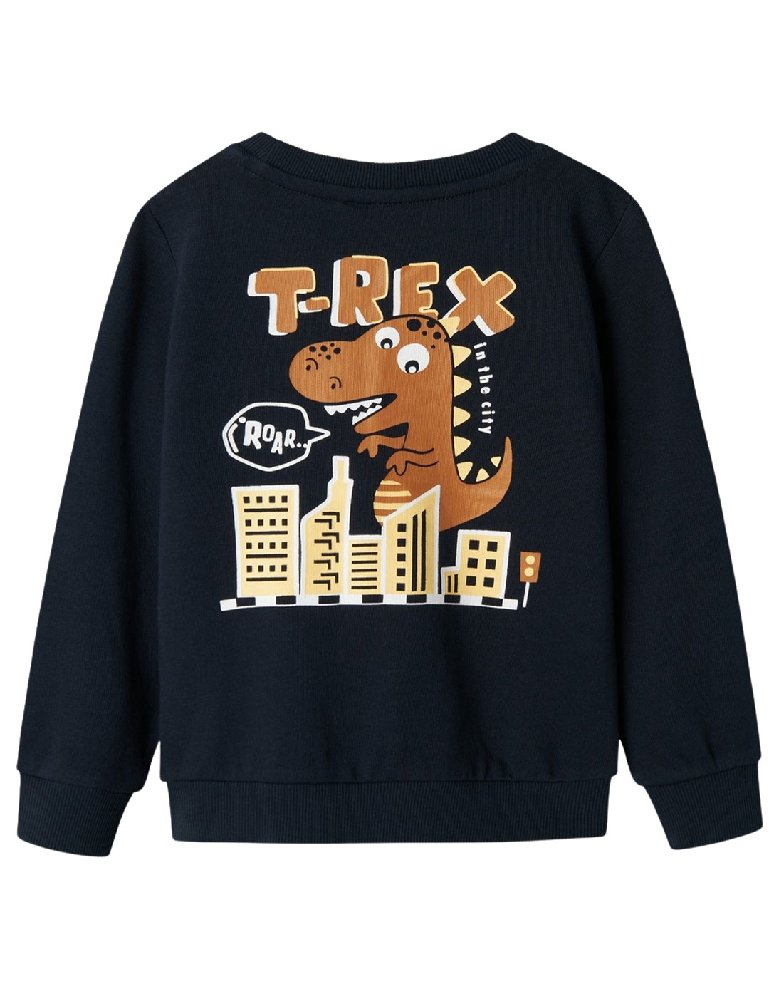 Παιδική μπλούζα φούτερ χωρίς χνούδι για αγόρι μπλε, με στάμπα, Regular Fit, 100% βαμβάκι.