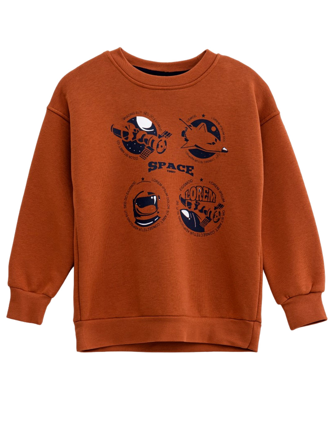 Μπλούζα φούτερ για αγόρι σε χρώμα καφέ, Regular Fit, 100% βαμβάκι.