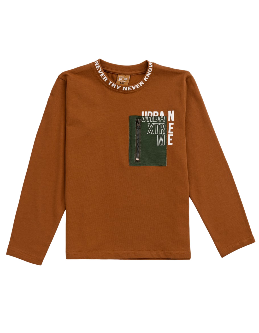 Παιδικό μακρυμάνικό μπλουζάκι για αγόρι, καφέ, Regular Fit, 100% βαμβάκι.