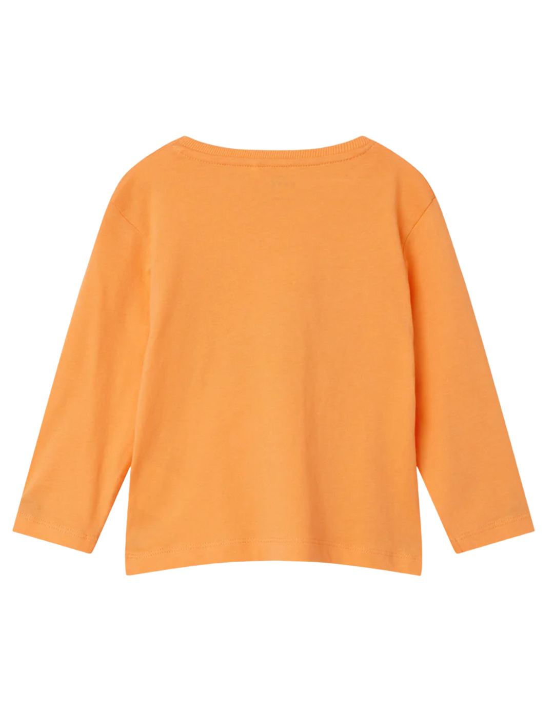 Παιδική μακρυμάνικη μπλούζα για αγόρι, πορτοκαλί, Regular Fit, 100%  βαμβάκι. Παιδική μακρυμάνικη μπλούζα για αγόρι, πορτοκαλί, Regular Fit, 100%  βαμβάκι.